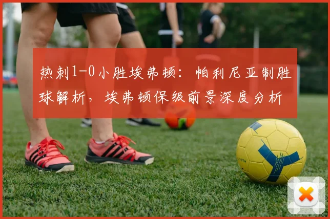热刺1-0小胜埃弗顿:帕利尼亚制胜球解析,埃弗顿保级前景深度分析